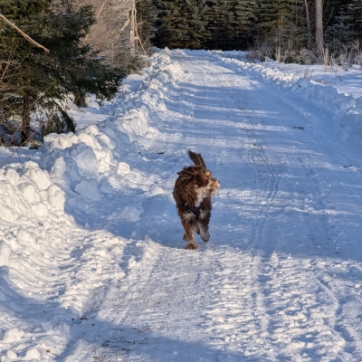 mira-gillar-sno